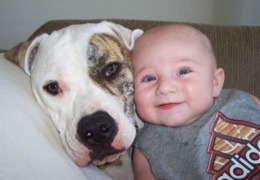 Câinii se înţeleg cel mai bine cu bebeluşii. Imagini care te vor face să zâmbeşti