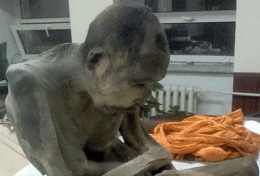 Mumia unui călugăr mort de 200 de ani, găsită în stare perfectă // VIDEO